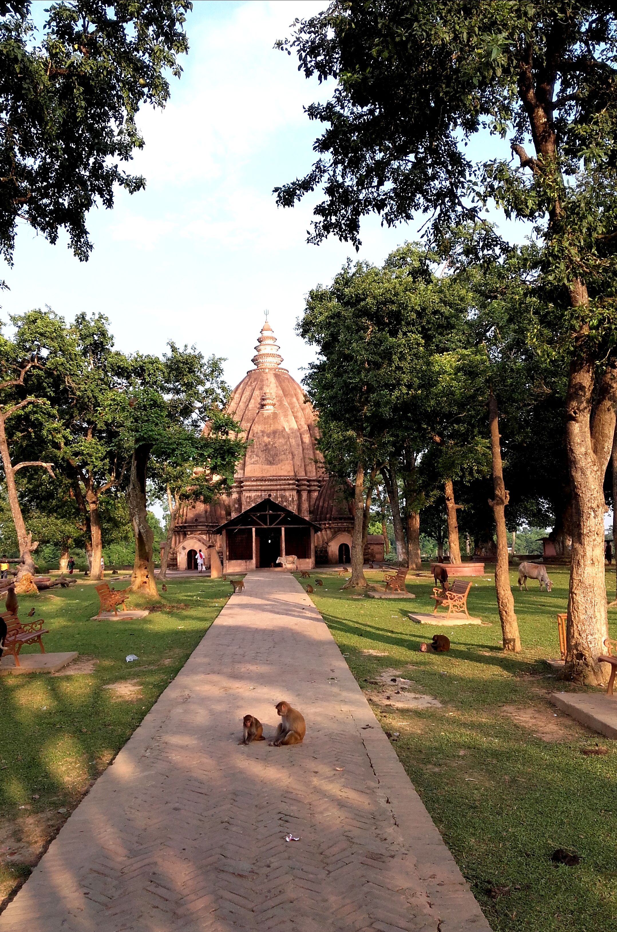 NEGHERITING_SHIVA_DOUL_DERGAON_ASSAM_INDIA